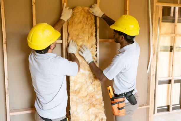 Best Attic Insulation Installation  in Anna, IL